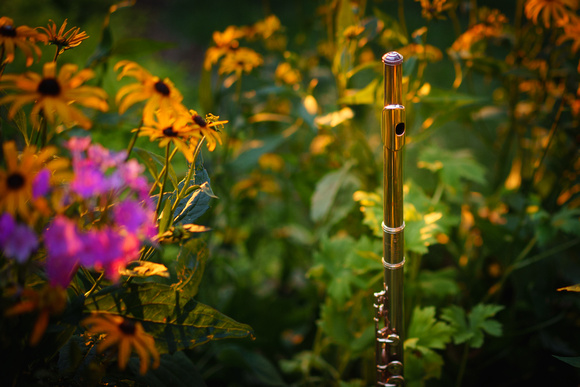 flute, flowers, sunset-3