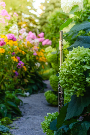 flute, flowers, sunset-1
