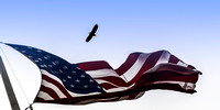 Flag and eagle LaCrosse September 2013